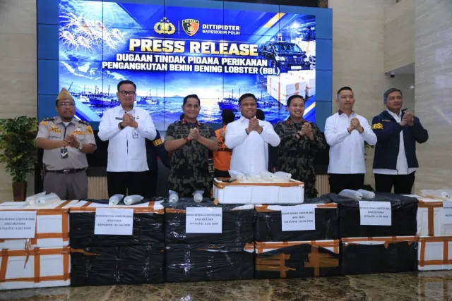 Bareskrim Polri Bongkar Penyelundupan 73 Ribu Benih Lobster Senilai Rp5,8 Miliar, Dua Orang Ditangkap — News