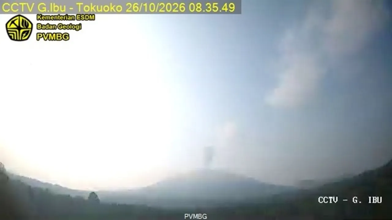 Gunung Ibu Erupsi Empat Kali pagi ini, Kolom Abu Capai 500 Meter — News
